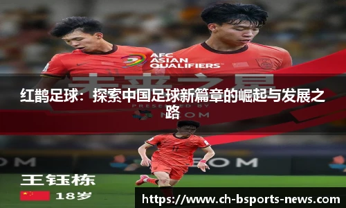 红鹊足球：探索中国足球新篇章的崛起与发展之路